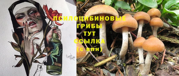 ешки Аркадак
