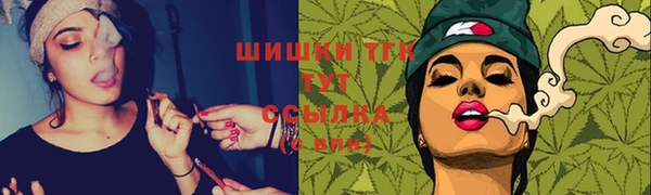 PSILOCYBIN Армянск