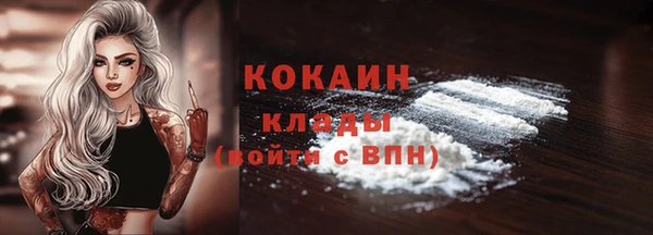 ешки Аркадак