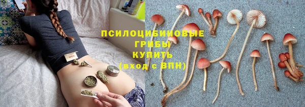 ешки Аркадак