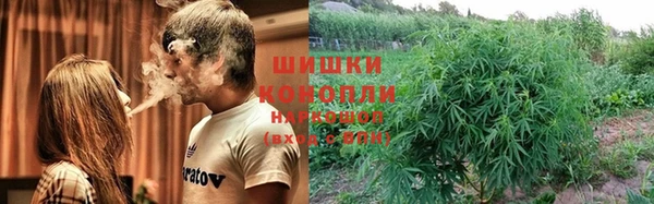 PSILOCYBIN Армянск
