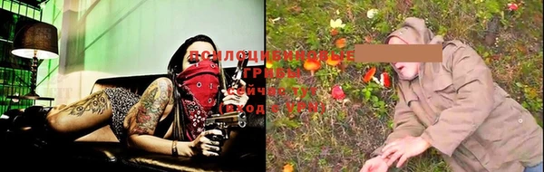 ешки Аркадак