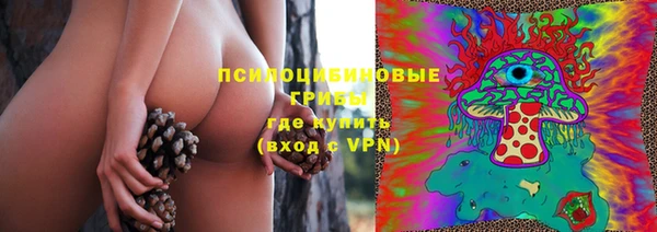 PSILOCYBIN Армянск
